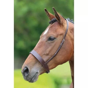 FSS Traditional Flat WIDE 5cm 2" Hunter Show Cavesson Noseband LONG HEADSTRAP - Picture 1 of 1