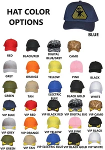 US ARMY RESERVE LEGAL COMMAND OCP HAT PATCH CAP VETERAN - Bild 1 von 34