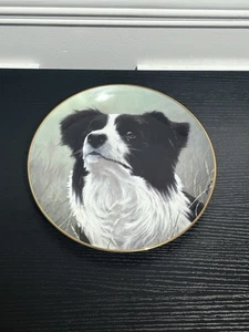 Limited Edition The Danbury Mint Yours Faithfully Border Collie Collection Plate - Bild 1 von 3