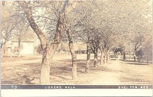 RPPC Shelton Nebraska "Lover's Walk" Town Scene early 1900s - Picture 1 of 2