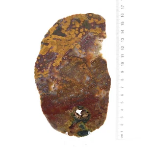 River Jasper 2 x Slabs 425g Pack, Cabbing, Lapidary, Rough Rock, Mineral - Picture 1 of 2