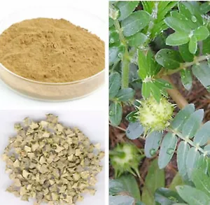 Gokshura Tribulus Terrestris Small Caltrops Gokharu Seed Powder 60g to 1Kg FS - Picture 1 of 4