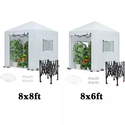 WORKPRO 8'x 8'/8'x6' Portable Walk-in Greenhouse Instant Pop-up Gardening Houses - Image 1 of 4