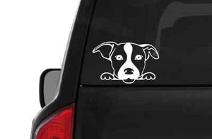 Jack Russell Terrier (A27) Vinyl Decal Sticker Car/Truck Laptop/Netbook Window - Picture 1 of 1
