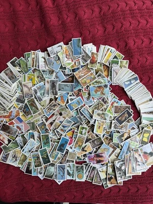 Brook bond - Job Lot - Over 1000 Cards - From 1950’s To 90’s - VGC - Image 1 of 4