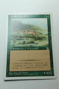 MTG Trained Jackal x1- Japanese-Portal Three Kingdoms-Lightly Played - Picture 1 of 1