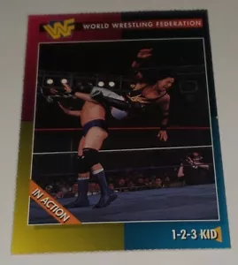 Tarjeta coleccionable 1995 WWE/WWF Magazine Insert #6 1-2-3 Kid Sean Waltman Wrestling - Imagen 1 de 11