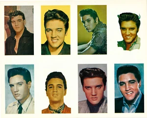 Elvis Presley Publicity Photo 8x10 With Eight Images Color Glossy - Image #011 - Foto 1 di 1