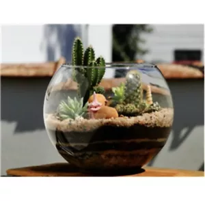 Clear Glass Bowl 300ml - Creative Ornaments and Decoration/ Planting Plant Pot - Picture 1 of 4