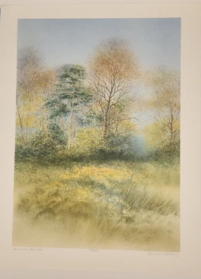 Litografia "Summer Woods" por Arnold Alaniz, assinada, #38 de 350 - Imagem 1 de 4