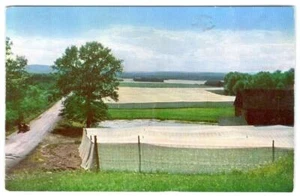 1940-50er SCHATTENTABAKFARM WINDSOR CONNECTICUT VINTAGE CHROM POSTKARTE - Bild 1 von 2