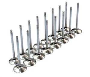 BRIAN CROWER SS VALVES HONDA ACURA B16 B16A B16A2 B16A3 B18C B18C1 B18C5 VTEC - Foto 1 di 2