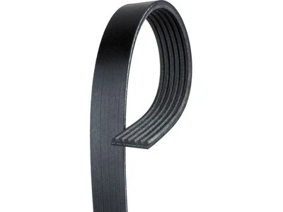 Cinturón multi costilla aire acondicionado Delco 11774BPQT 2004 2005 2006 Infiniti FX45 2003-2008 Foto 1 de 2