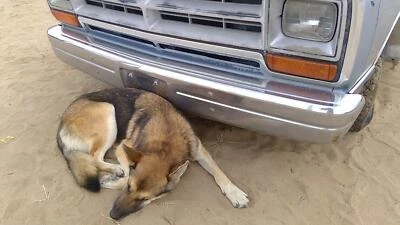 1986 1987 1988 1989 Dodge Ram D100 Chrome Front Bumper With Brackets Oem - Image 1 of 4