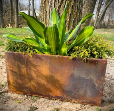 Metal Trough Planter 30" x 12" x 14" - Medium Rectangular Planter - Spring Annua - Image 1 of 4