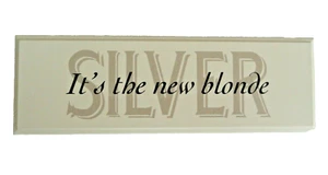 Standing desktop table SILVER IS THE NEW BLOND word art Sign 8 1/2 x 2 3/4" - Picture 1 of 2