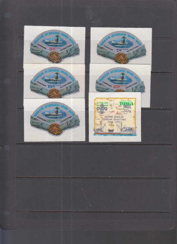 282 - Tonga Scouts MNH Foto 1 de 1
