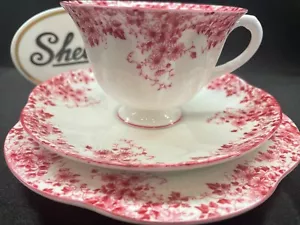 SHELLEY ZIERLICHE ROSA GÄNSEBLÜMCHEN SELTENE TASSE MIT FUSS, UNTERTASSE und 6" TELLER O51/P WOW! - Bild 1 von 7