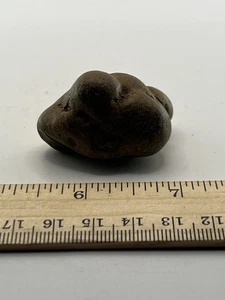 Coprolite Genuine Fossilized Feces Poop Dung  1.5”X 1.25” X 1.25” C42 - Picture 1 of 4