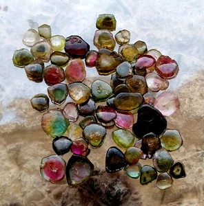 41 Carat Natural Watermelon Bi Color Tourmaline Smooth Slice Shape 62 Piece Lot - Picture 1 of 20