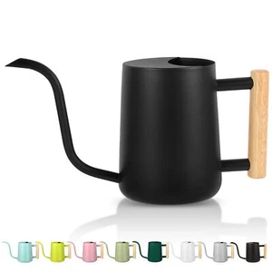 Plant Watering Can35oz Metal Watering CanStainless Steel Watering Can Indoor ... - Picture 1 of 8