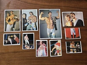 Lot Ravishing Rick Rude 1991 WCW Euroflash Sticker Card WWE WWF - 16 Stickers - Picture 1 of 11