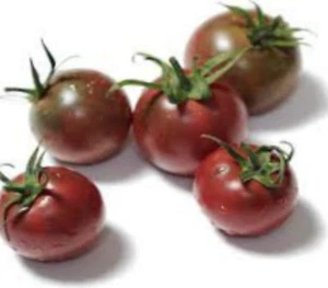 TOMATO black cherry tomato 25 seed heirloom Non GMO open pollinated easy to grow - Picture 1 of 1