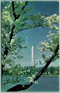 Washington Monument Washington DC UNP Unused Chrome Postcard H14 - Picture 1 of 2