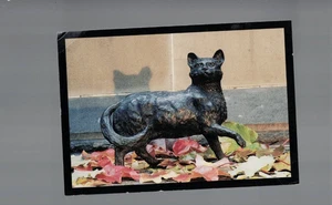 POSTAL VINTAGE, SIN USAR, RECORTADA, GATO MATTHEW FLINDERS - Imagen 1 de 1