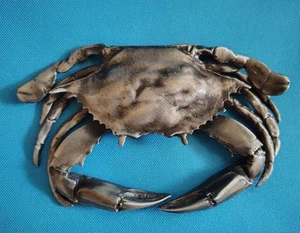 Salisbury Pewter Crab Nautical 6" x 4" Handcrafted Paperweight Very Detailed - Picture 1 of 6