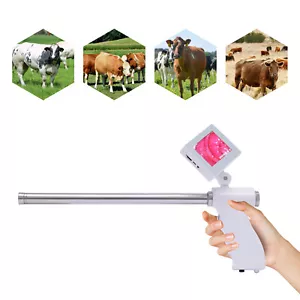 Sichtbefruchtungspistole Rinder Kühe für Nutztiere Künstliche Befruchtung Set HD - Bild 1 von 11