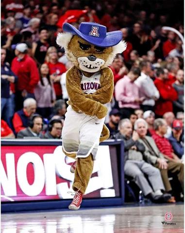 Arizona Wildcats Unsigned Wilbur T. Wildcat Dancing Photograph Cover