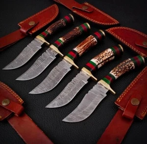 LOT OF 5 Handmade Damascus Steel Hunting Skinner Knife Handle STAG/ANTLER (MM) - Picture 1 of 4