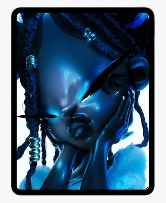 Apple iPad Pro 13" M5 2025 256GB WiFi & 5G Cellular - Space Schwarz Standardglas