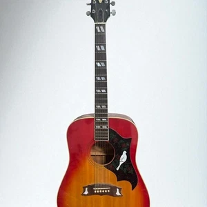 Morris Acoustic Guitar Sunburst Rose Bird Inlay Made in Japan - Picture 1 of 6