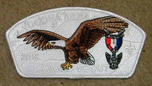 Yocona Area Council 2016 Eagle Scout CSP - Semi Ghost - Picture 1 of 1