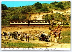Postal de animales africanos/monorriel de San Diego CA Wild Animal Park at San Pasqual - Imagen 1 de 2
