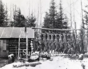 Old Time Hirschjagd Big Buck Stange Riesige Bucks Blockhütte Traum Hirsch Camp TOP - Bild 1 von 1
