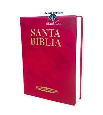 BIBLIA ANTIGUA VERSION REINA VALERA  1909 LETRA GRANDE 12 PUNTOS VINILO Col.Vino - Image 1 of 4