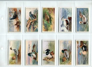Game Birds & Wild Fowl 1927 Players Cigarette Cards - Full Set of 50 Cards - Picture 1 of 10