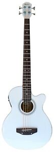 Acoustic Bass with Soft-Case /Active EQ (Free Shipped USA)