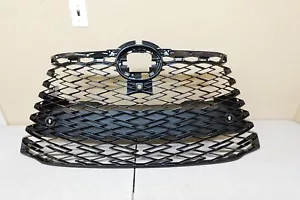 2023-2024 LEXUS RX350H F-SPORT FRONT CENTER GRILLE W/SENSOR HOLES (OEM) - Picture 1 of 10