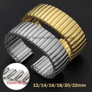 12mm 14mm 16mm 18mm 20mm 22mm Stainless Steel Elastic Watch Band Men Women - Imagen 1 de 8