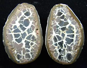 Polished septarian Nodule slices (Pair) Morocco 86.96 Grams - Picture 1 of 6