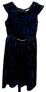 Lavender Dress Girl's Size 7 Velour Navy Ornate Ribbon Belt - Picture 1 of 12