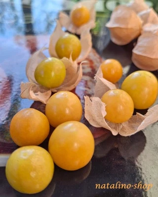 Physalis *Goldie* 30+ Samen *Physalis pruinosa *Physalis Ananaskirsche - Bild 1 von 2