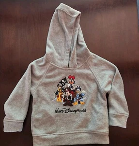 Disney Park Mickey & Gang Pirate Embroidered Boy's Hoodie Size XS Gray W/Pockets - Picture 1 of 3