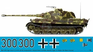 Peddinghaus 1/16 Tiger II Ausf.B Tank Markings Richard Rosen 3./sPz.Abt.503 3913 - Picture 1 of 1