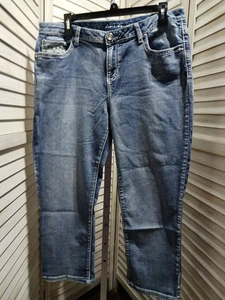 Apt 9 Womens Capri Pants Size 16 Light Blue Denim Embroidered Pockets Rhinestone - Picture 1 of 18