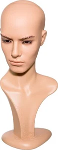 Cabeza decorativa para hombre, cabeza de peluca, cabeza modelo, maniquí, maniquí - Imagen 1 de 1